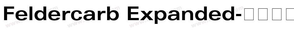 Feldercarb Expanded字体转换